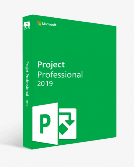 buy project 2019 professional